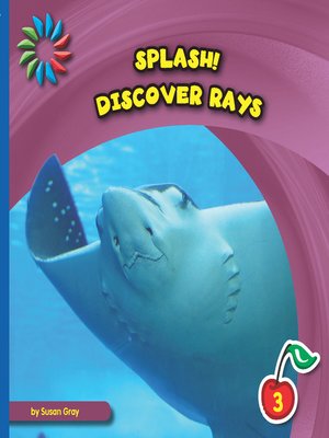 cover image of Discover Rays